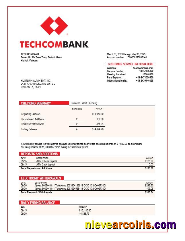 Techcombank corporate checking account statement